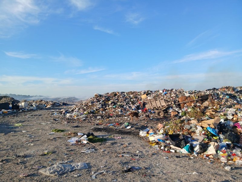 WhatsApp Image 2026-04-22 at 10.29.53